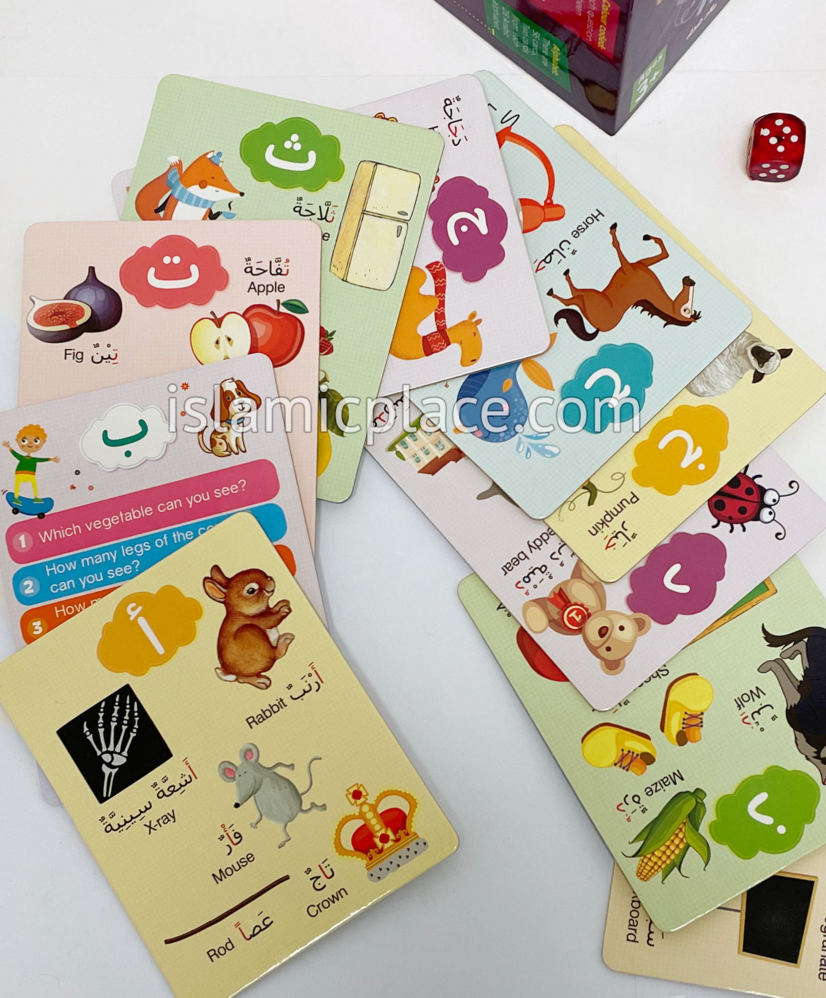 Kid's Box - Arabic Learning - Learn more than 300 Arabic words