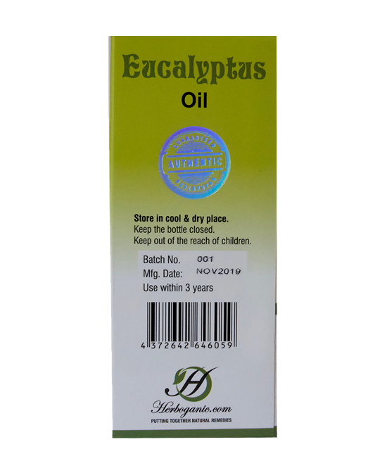 Eucalyptus Oil 2 oz - Natural